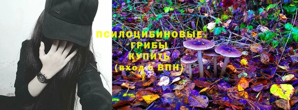 прущие крисы Горняк