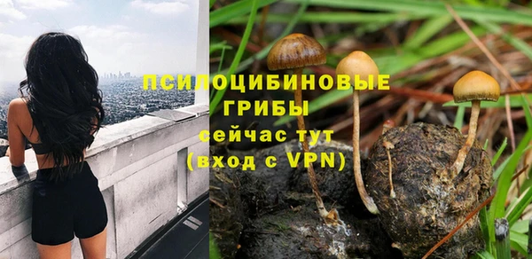 винт Горнозаводск