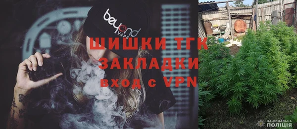 СК Сосновый Бор