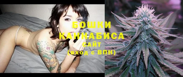 прущие крисы Горняк