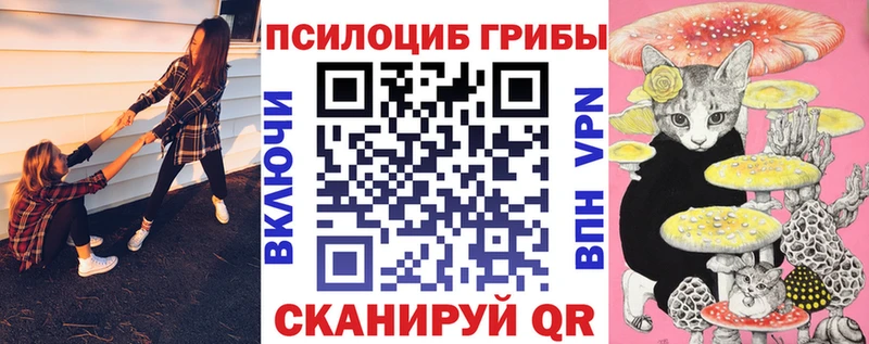 Псилоцибиновые грибы Psilocybine cubensis  Славск 